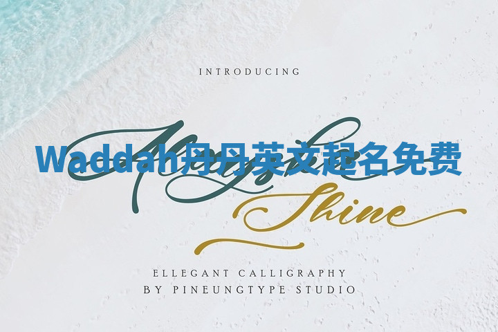 Waddah丹丹英文起名免费