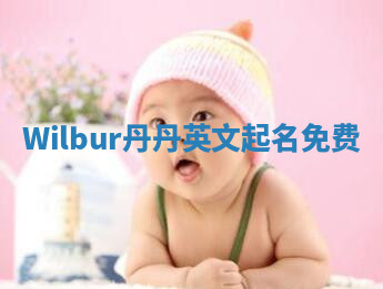 Wilbur丹丹英文起名免费