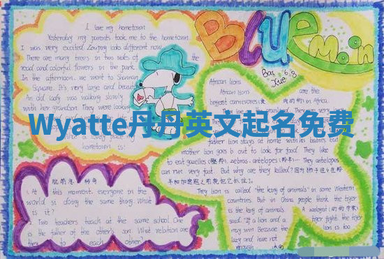 Wyatte丹丹英文起名免费